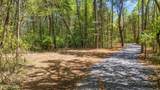 0 Holston Drive - Photo 10