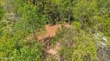 0 Holston Drive - Photo 5