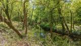 0 Holston Drive - Photo 6