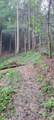 150 AC Prong Of Clear - Photo 11