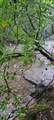150 AC Prong Of Clear - Photo 8