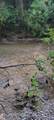 150 AC Prong Of Clear - Photo 9