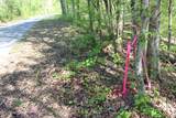 3720 Wayne Bryant Rd - Photo 2