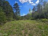  Wineberry Tr - Photo 5