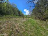  Wineberry Tr - Photo 6