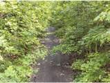 228 Crystal Springs Rd - Photo 4