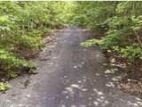 228 Crystal Springs Rd - Photo 6
