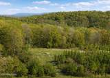  Lot 6 Winding Tr - Photo 13