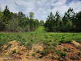  Lot 6 Winding Tr - Photo 5
