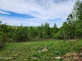  Lot 6 Winding Tr - Photo 6