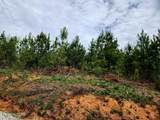  Lot 6 Winding Tr - Photo 8