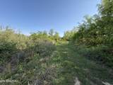  Racoon Lane - Photo 11