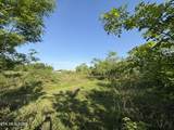  Racoon Lane - Photo 12