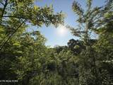  Racoon Lane - Photo 13