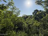  Racoon Lane - Photo 14