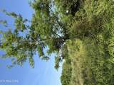  Racoon Lane - Photo 15