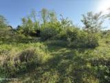  Racoon Lane - Photo 20