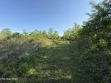  Racoon Lane - Photo 25