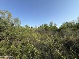  Racoon Lane - Photo 31