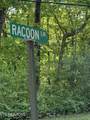  Racoon Lane - Photo 4