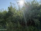  Racoon Lane - Photo 6