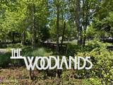 3700 Spruce Ridge Way - Photo 26