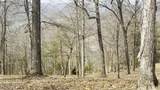  Deer Creek Path - Photo 20