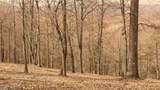  Deer Creek Path - Photo 35