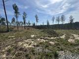 0 Burrville Rd - Photo 3