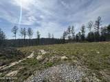 0 Burrville Rd - Photo 4