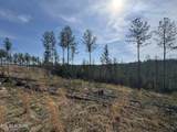 0 Burrville Rd - Photo 7