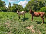 2733 Shipe Rd - Photo 1