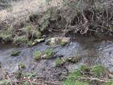 2733 Shipe Rd - Photo 3