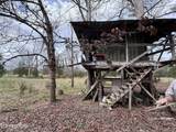 2733 Shipe Rd - Photo 37