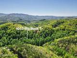 1053 Big Buck Tr - Photo 60