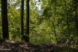 1017/1035 Big Buck Tr - Photo 50