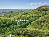 1053 Big Buck Tr - Photo 7