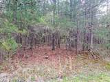 927 Paola Drive - Photo 3