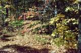 Lot 28R Mountain Retreat Road - Photo 4
