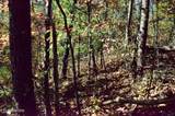 Lot 28R Mountain Retreat Road - Photo 5