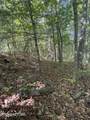 261 Mountain Retreat Rd - Photo 21