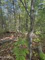 261 Mountain Retreat Rd - Photo 22