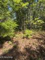 261 Mountain Retreat Rd - Photo 4