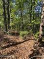 261 Mountain Retreat Rd - Photo 6