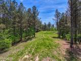 372 Stonecipher Court - Photo 12