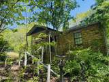 9923 Old Chestnut Ridge Rd - Photo 14