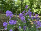  Gravelly Hills/Forrest Ridge - Photo 19