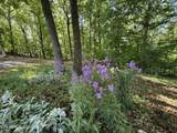  Gravelly Hills/Forrest Ridge - Photo 20