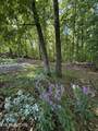  Gravelly Hills/Forrest Ridge - Photo 21