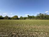 Lot  4 & 5 Houston Drive - Photo 4